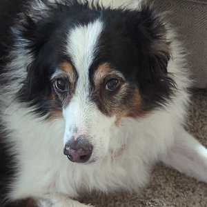 Fundraising Page: Deborah Kelly